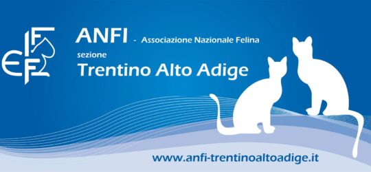 Anfi Trentino Alto Adige